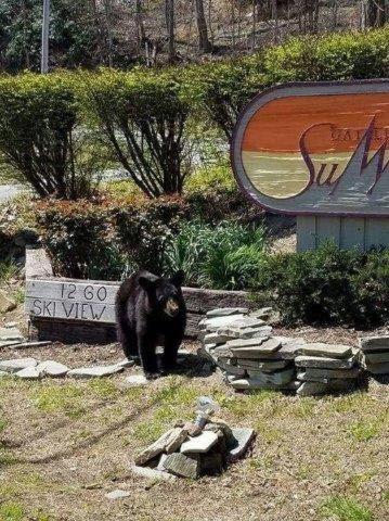 Standard Apartment interior